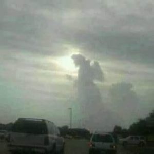 Meet your Posher, Jan